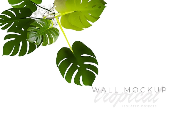 Tropical and Summer background Mockup