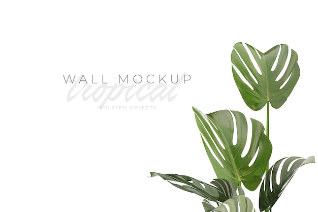 Tropical and Summer background Mockup