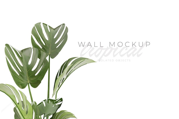 Tropical and Summer background Mockup