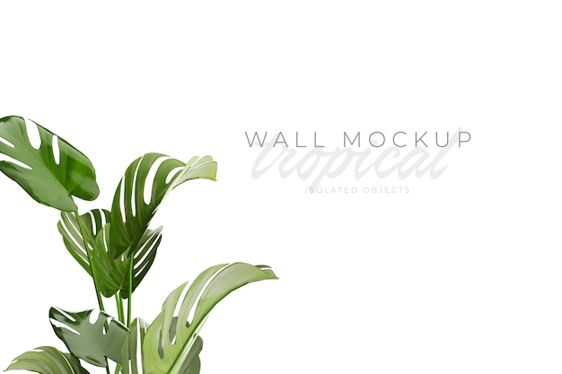 Tropical and Summer background Mockup