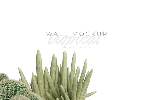 Tropical and Summer background Mockup