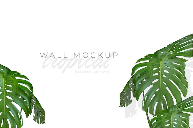 Tropical and Summer background Mockup