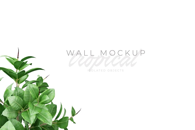 Tropical and Summer background Mockup