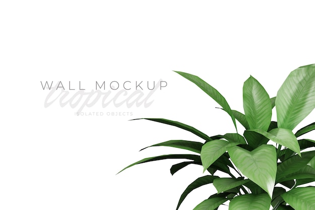 Tropical and Summer background Mockup