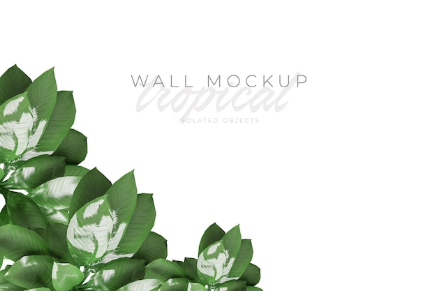 Tropical and Summer background Mockup