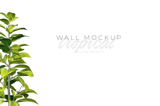 Tropical and Summer background Mockup