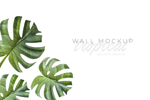 Tropical and Summer background Mockup