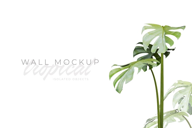 Tropical and Summer background Mockup