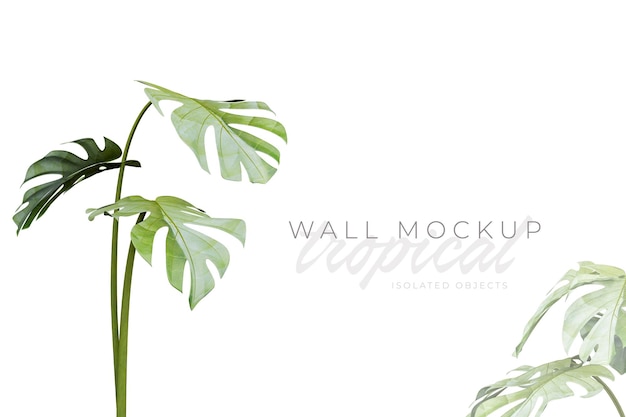 Tropical and Summer background Mockup