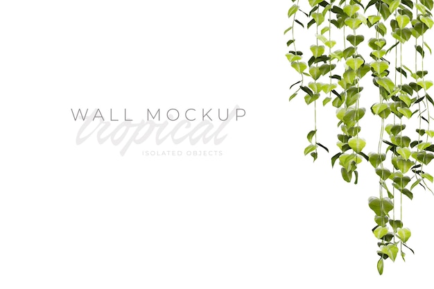 Tropical and Summer background Mockup