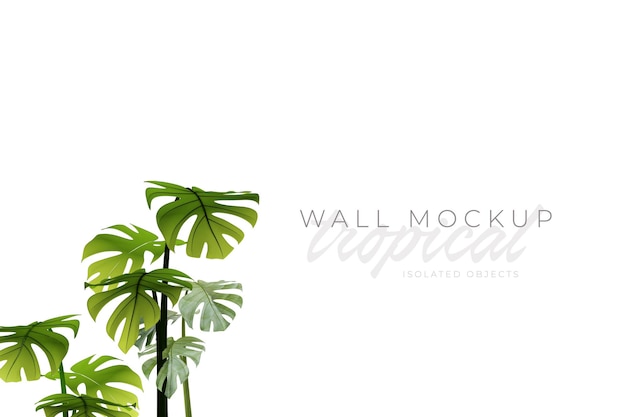 Tropical and Summer background Mockup