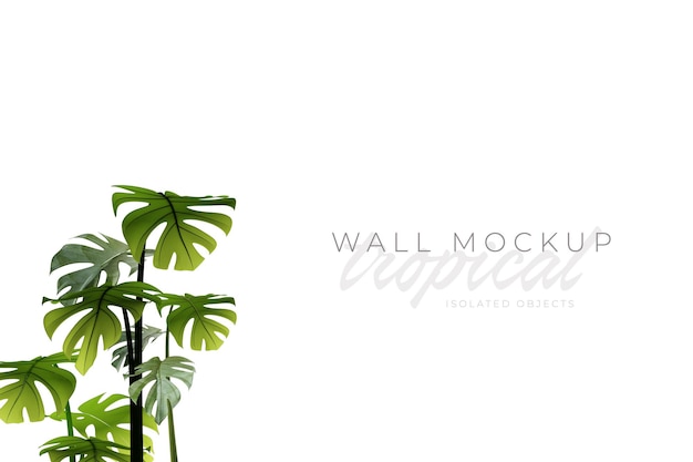 Tropical and Summer background Mockup