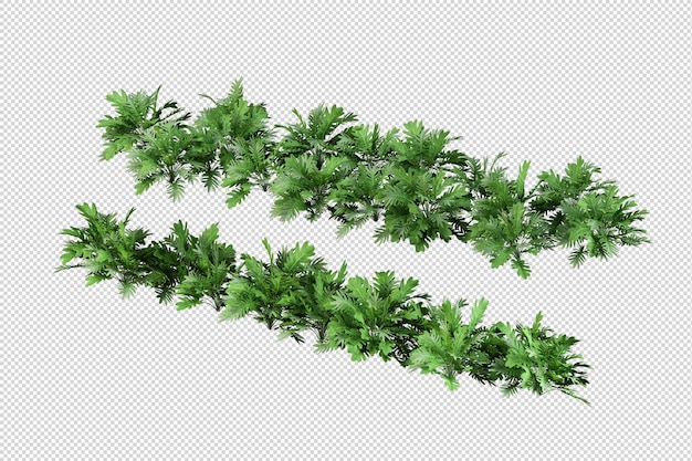 Tropical trees and flowers in 3d rendering isolated