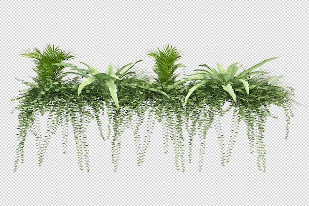 Tropical trees and flowers in 3d rendering isolated