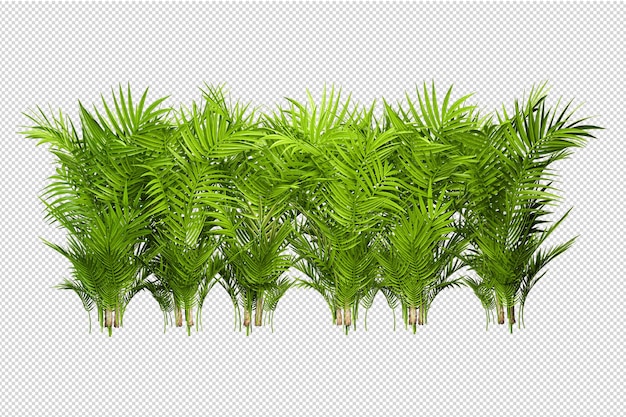 Tropical trees and flowers in 3d rendering isolated