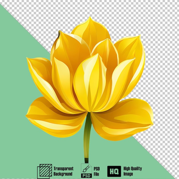 tulip silver on the transparent background 2