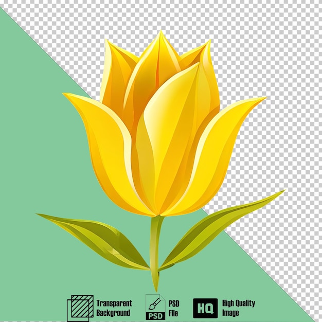 tulip silver on the transparent background 3