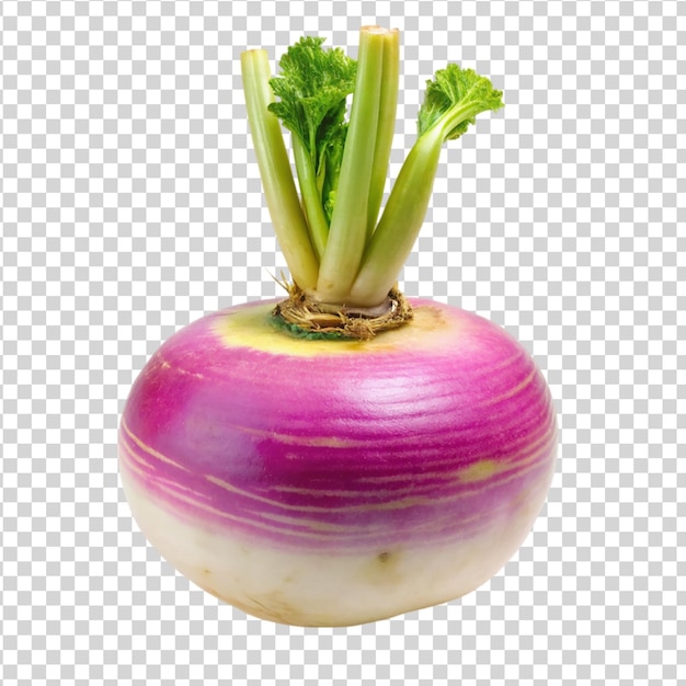 PSD turnip isolated on white background