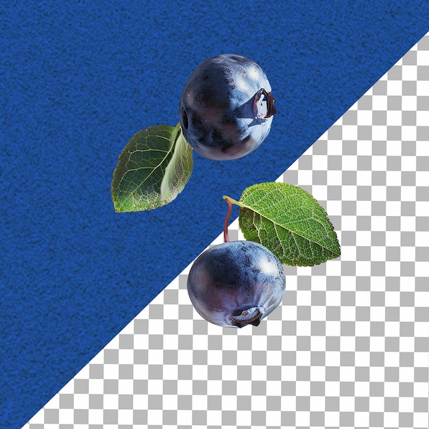 Two blueberry with leaf floating in the air isolated on white background