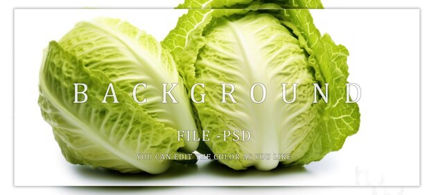 PSD two green cabbages on a white background