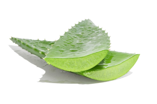 Two Leaf of green fresh aloe vera On a white background