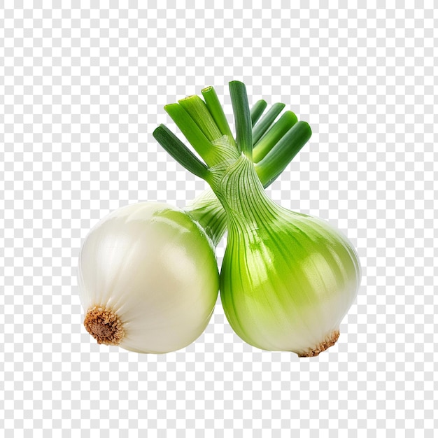 PSD two onions with green and white on a transparent background