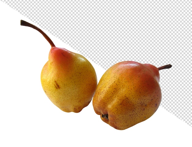 two pears are shown with a white background