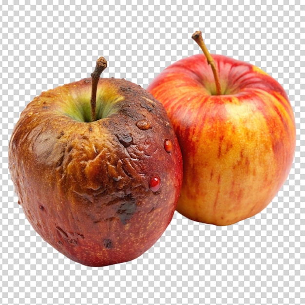 Two rotten apple Isolated white background