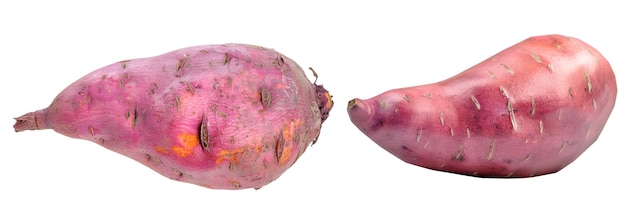 PSD two sweet potatoes one with a more pronounced tail lie on a stark white backdrop showcasing their vibrant purple skin and natural imperfections