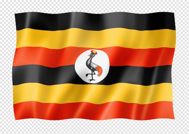 Uganda flag isolated on white