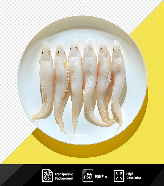 unique mockup of a plate of raw squid top view png