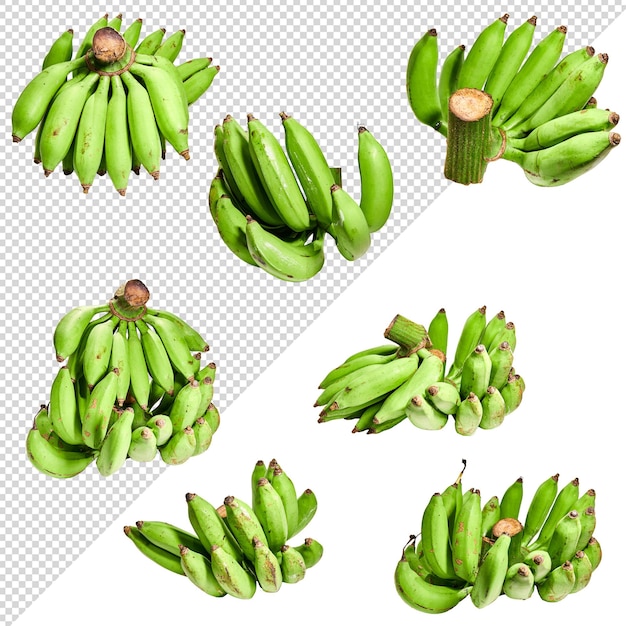 Unripe banana, green banana on transparent background