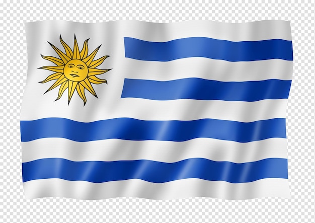 Uruguaian flag isolated on white