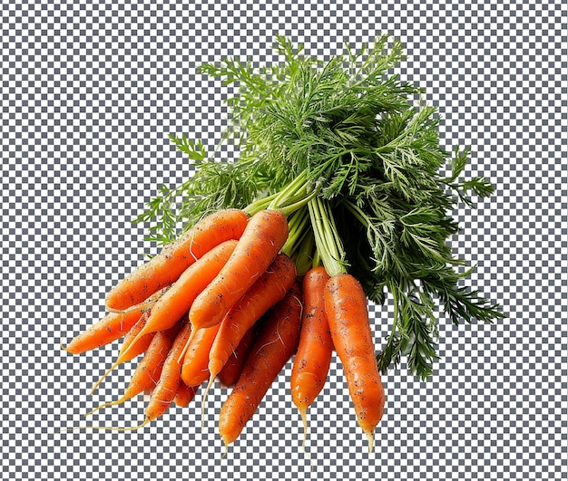 Useful Carrot Patch Themed Scented Sachets isolated on transparent background