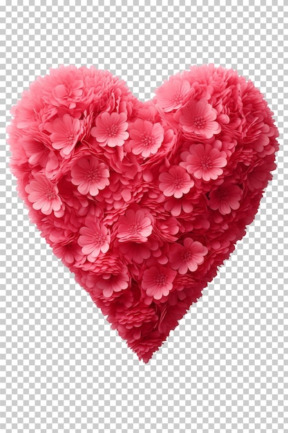 Valentine's heart isolated