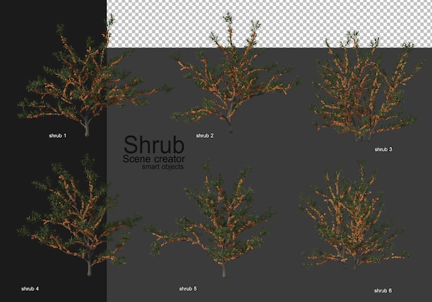 PSD a variety of shrubs