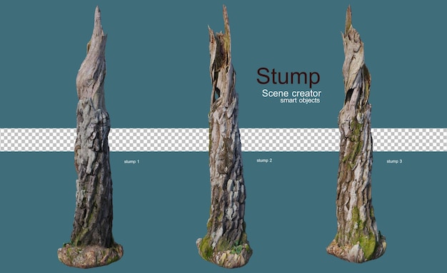 A variety of stumps