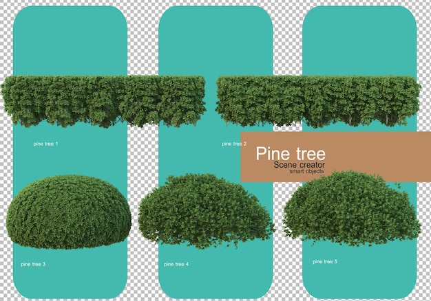 Various forms of pine trees rendering