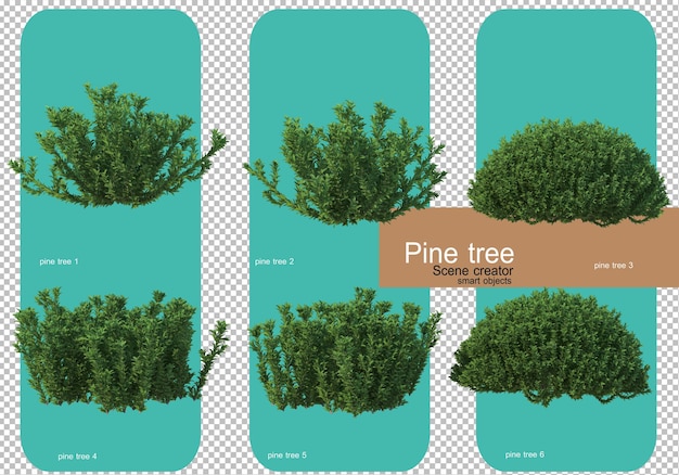 Various forms of pine trees rendering