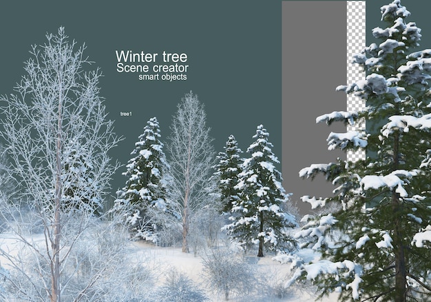 Various trees and plants in winter