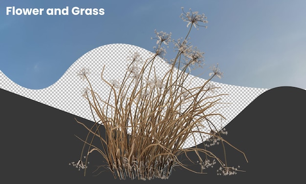 Various types of dried plants grass bushes shrub and small plants isolated