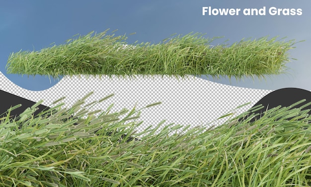 Various types of flowers grass and small plants isolated