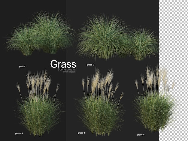 Various types of grass rendering