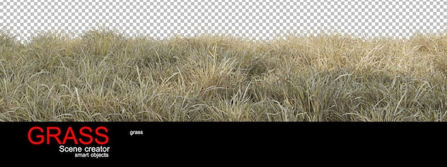 various types of grass