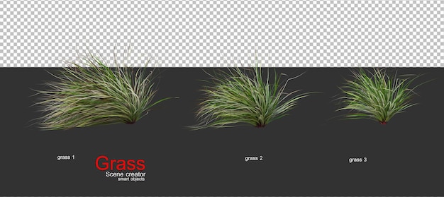 various types of grass