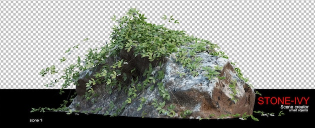 Various types of rocks and creepers