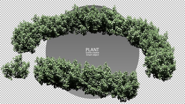 Various types of shrubs rendering isolated clipping path