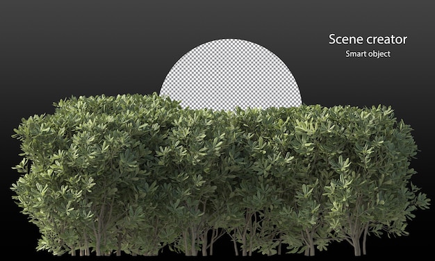 Various types of tree branch plants bushes shrub and and small plants isolated rendering