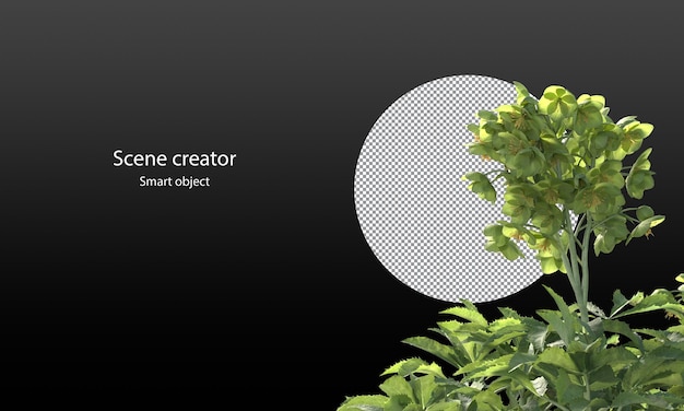 Various types of tree branch plants bushes shrub and and small plants isolated rendering