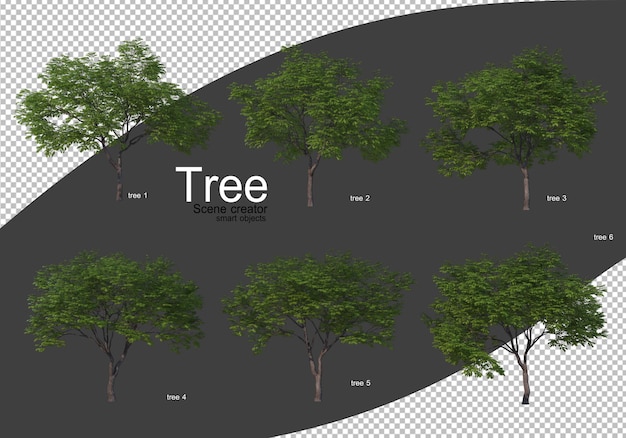 Various types of trees rendering Isolated